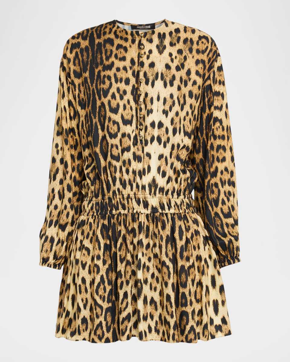 Leopard-Print Long-Sleeve Mini Dress